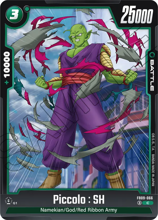 FB09-066 C Piccolo : SH