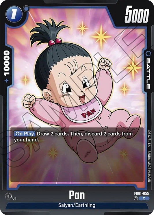 FB01-055 C Pan