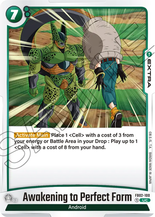 FB02-100 UC Awakening to Perfect Form
