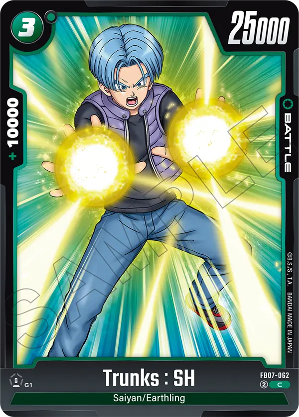 FB07-062 C Trunks : SH