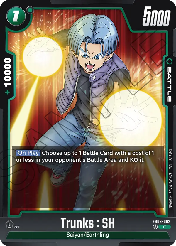 FB09-062 C Trunks : SH