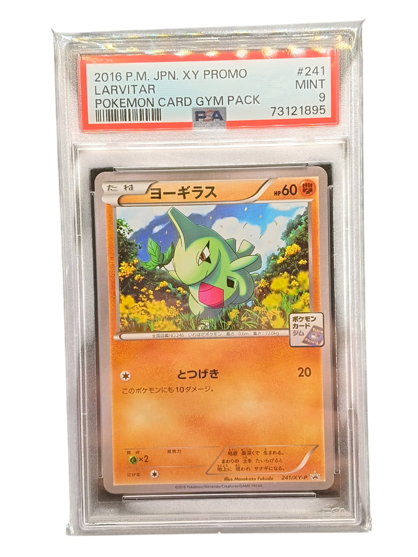 PSA 9 2016 Near Mint Pokemon Larvitar 241/XY-P XY Promos Japanese
